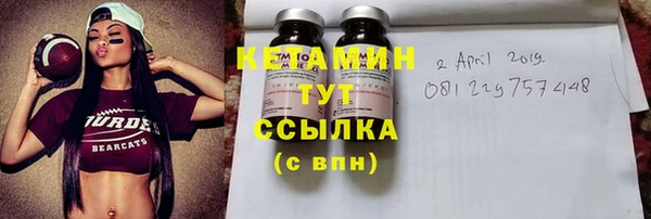 ПСИЛОЦИБИНОВЫЕ ГРИБЫ Новозыбков