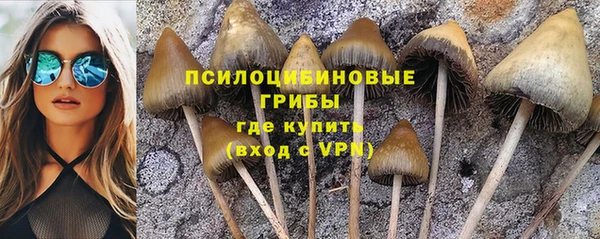 mix Алексин