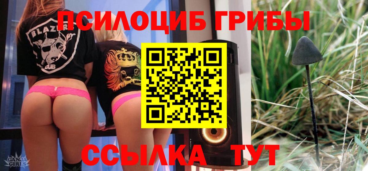Миасс  Псилоцибиновые грибы ЛСД  Вход с VPN  Галлюциногенные грибы Psilocybe 
